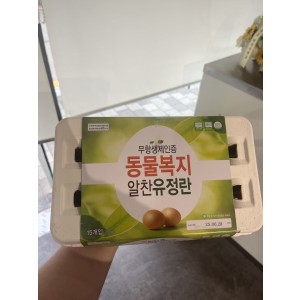 무항생제 유정란 15구