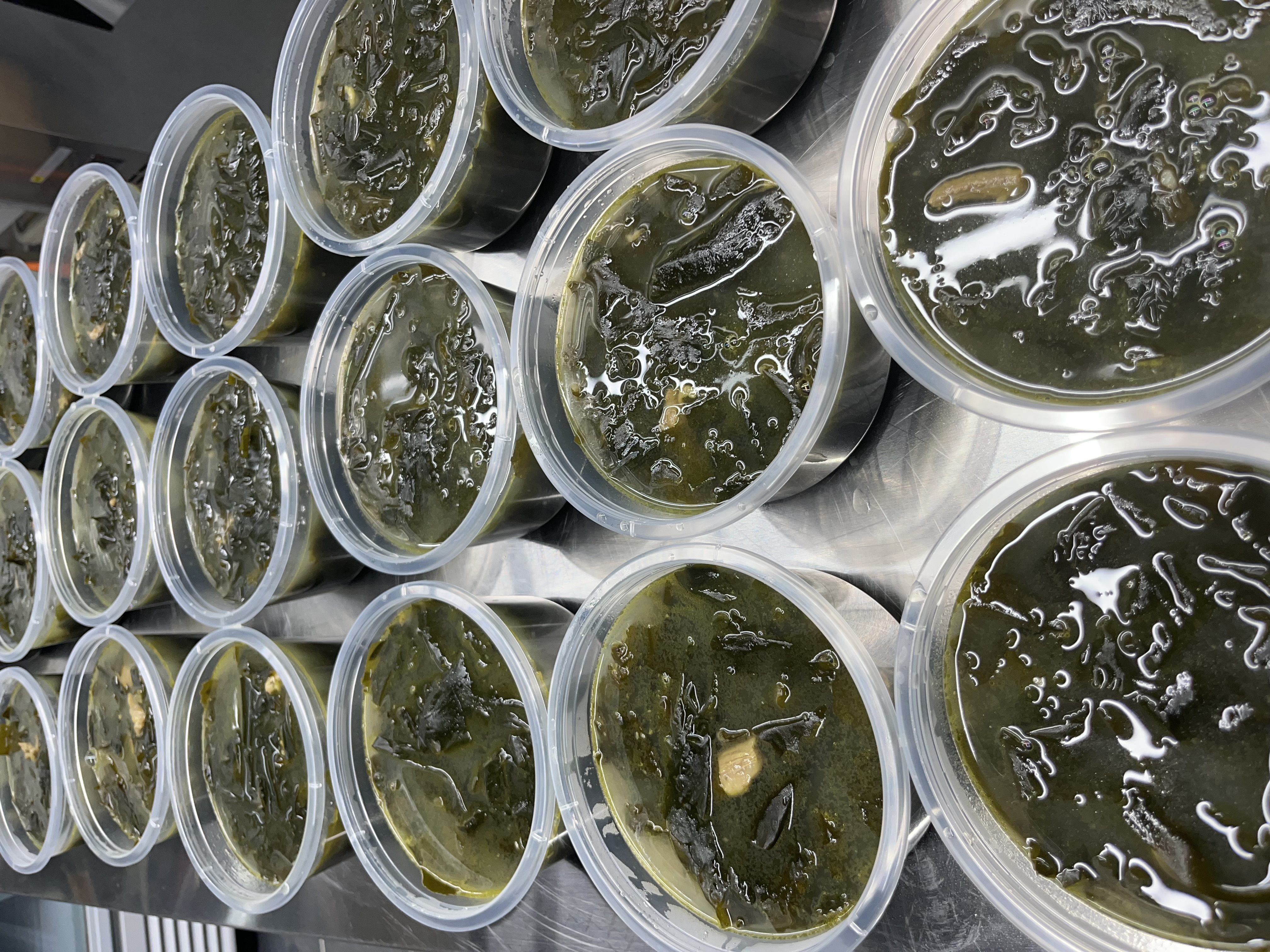 냉동한우미역국